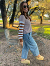 Aspen Striped Sleeve Sweater in Four Colors