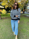 Aspen Striped Sleeve Sweater in Four Colors