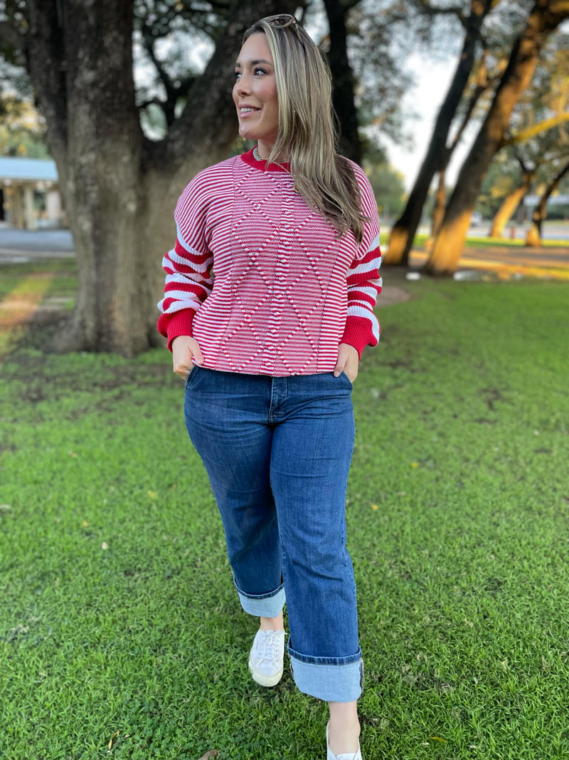 Aspen Striped Sleeve Sweater in Four Colors