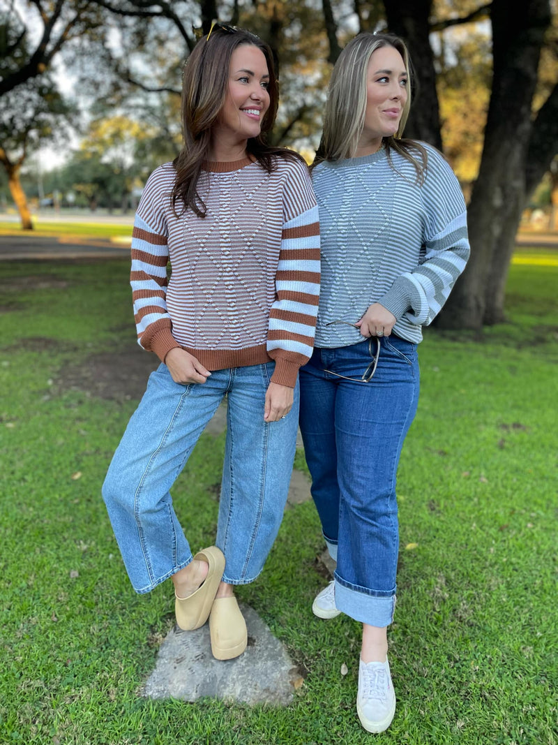 Aspen Striped Sleeve Sweater in Four Colors