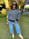 Aspen Striped Sleeve Sweater in Four Colors