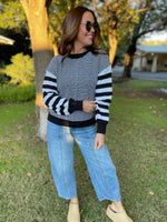 Aspen Striped Sleeve Sweater in Four Colors