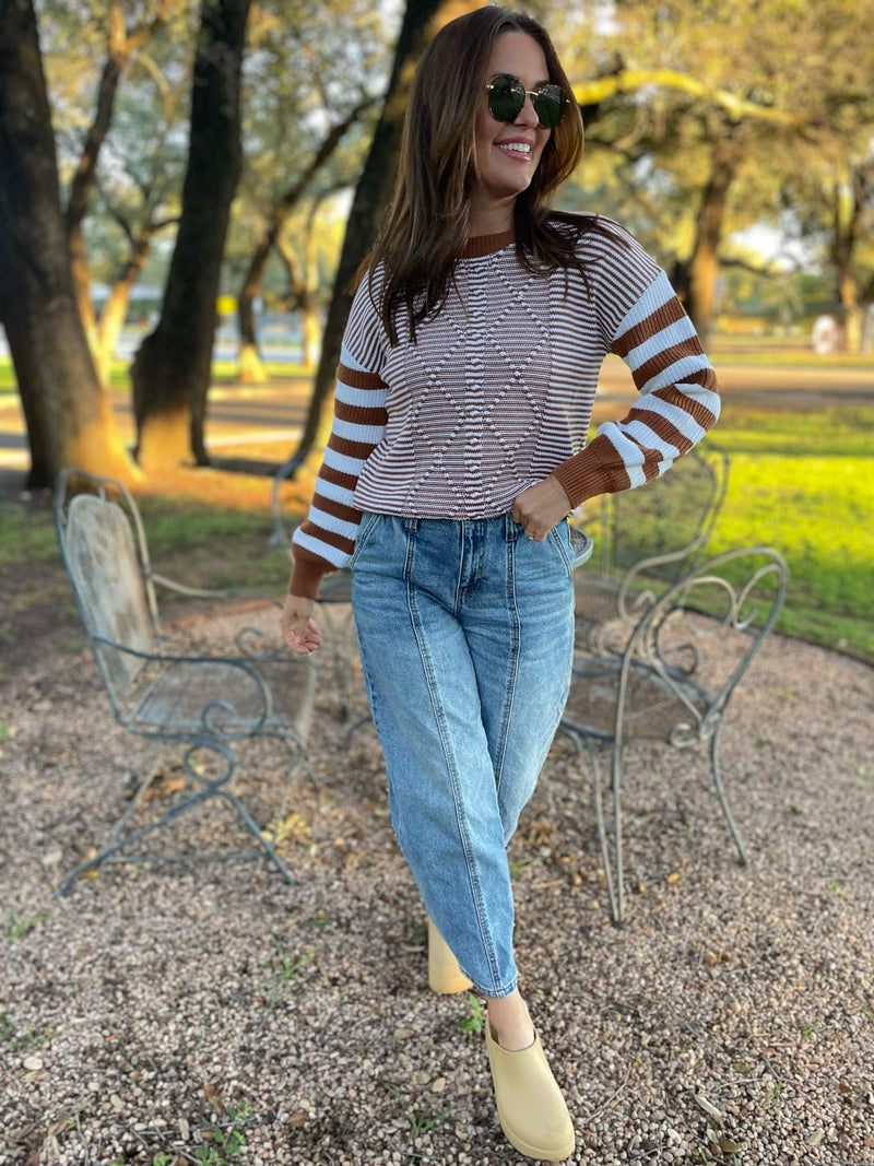 Aspen Striped Sleeve Sweater in Four Colors