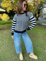 Aspen Striped Sleeve Sweater in Four Colors