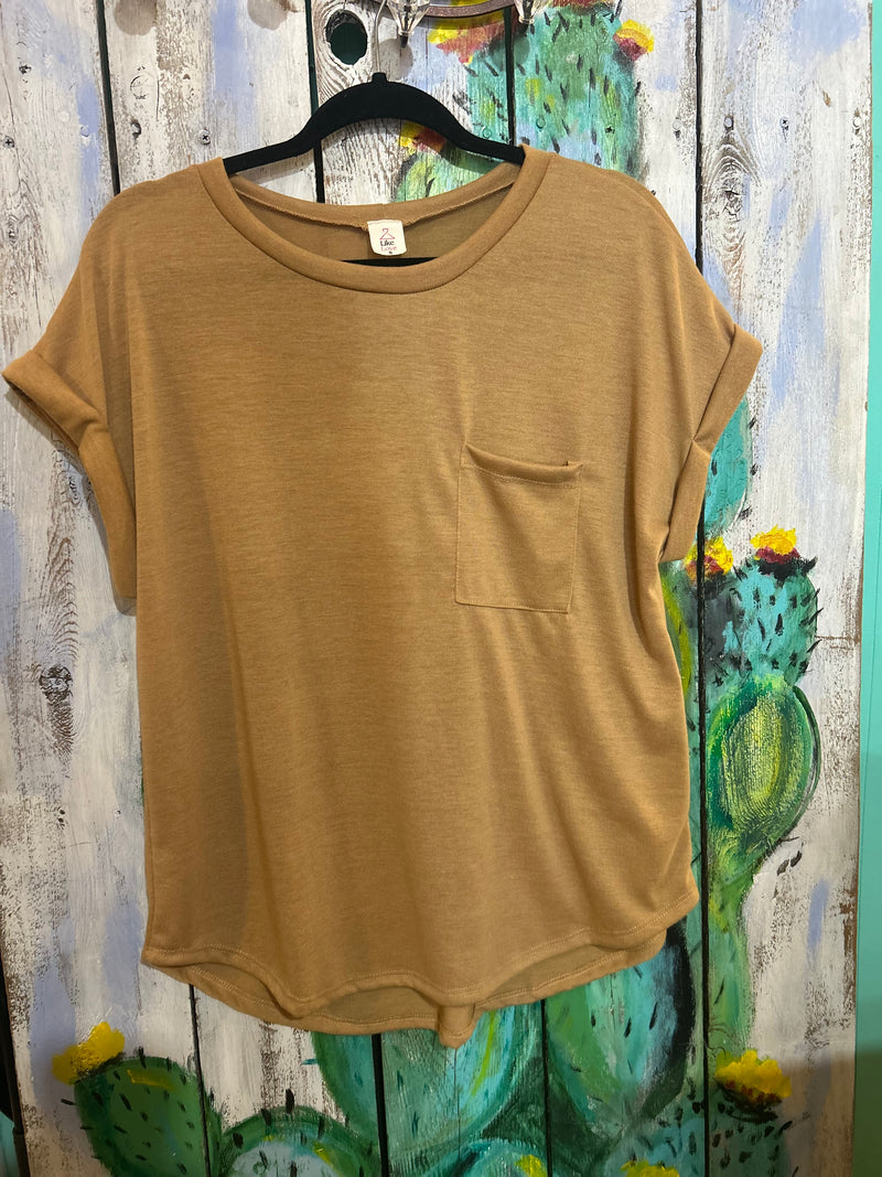 Simple Basic Camel