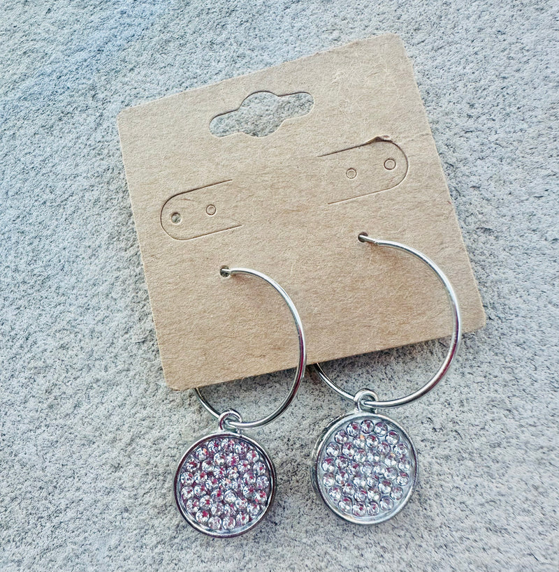 Silver Dangle Earrings