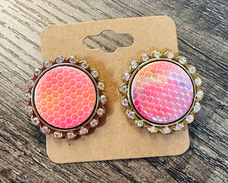 Ombre Pink Rhinestone Studs