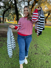 Aspen Striped Sleeve Sweater in Four Colors