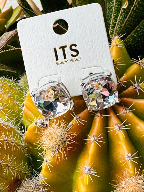 Clear Stud Earrings Rockin The Lace Boutique