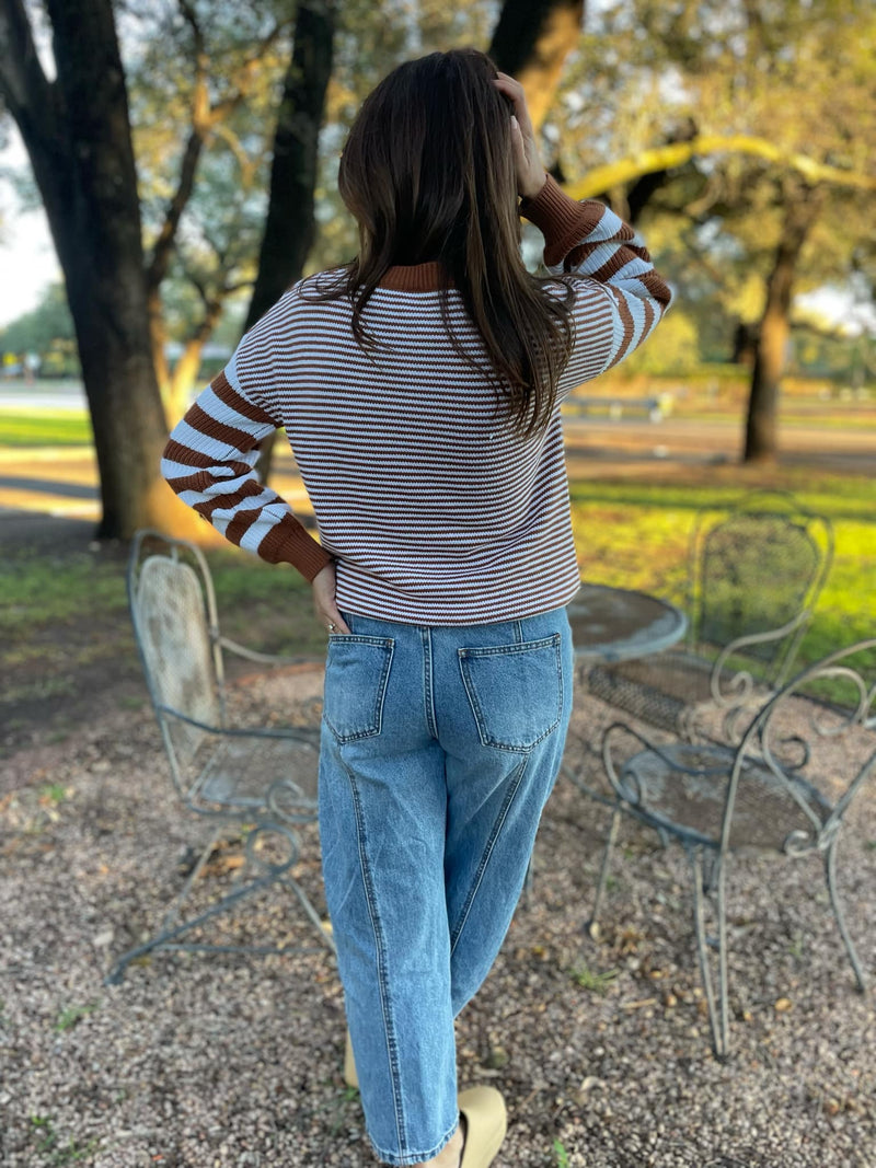 Aspen Striped Sleeve Sweater in Four Colors