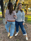 Aspen Striped Sleeve Sweater in Four Colors